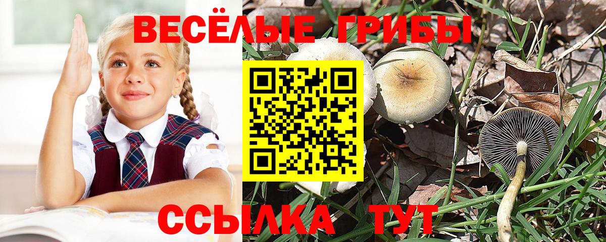 Белебей  Псилоцибиновые грибы мицелий  где купить наркоту  Псилоцибиновые грибы MAGIC MUSHROOMS  Вход с VPN 
